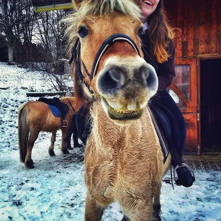 Lejlighed Gerda