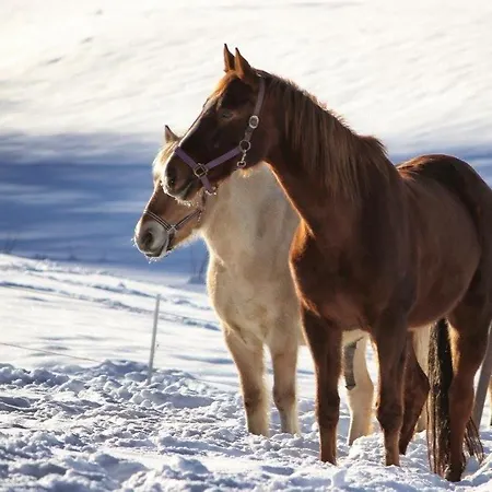 Gerda Appartamento *