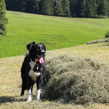 Gerda Sankt Georgen im Schwarzwald