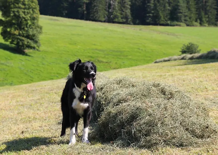Gerda St. Georgen im Schwarzwald