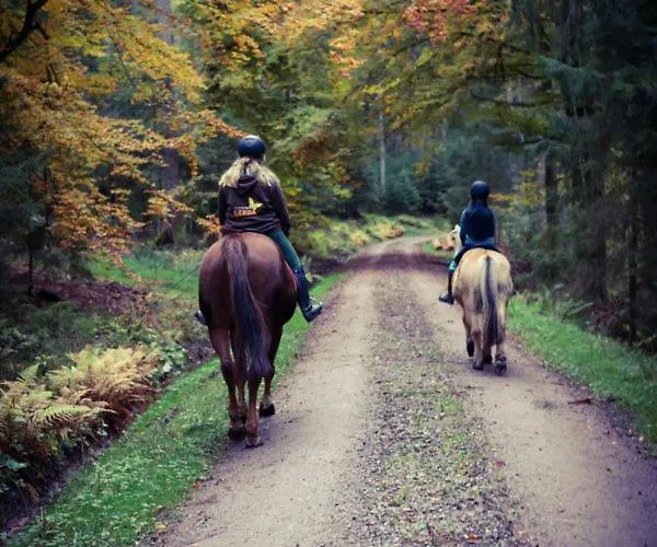 Appartement Gerda St. Georgen im Schwarzwald